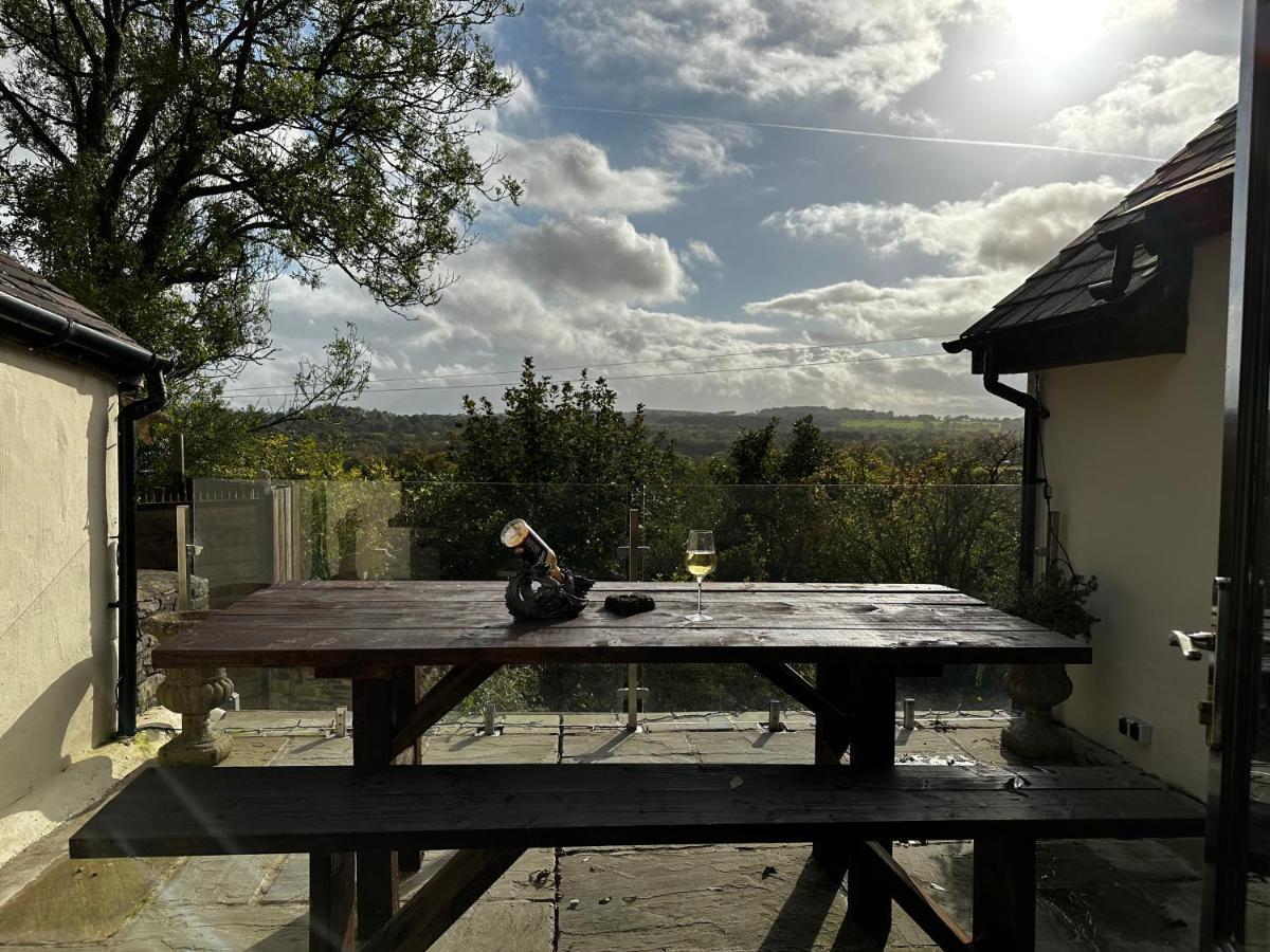 Coed Y Ddraig - Themed 3 Bedroom Cottage, With Bar & Pool Table Tregaron Kültér fotó